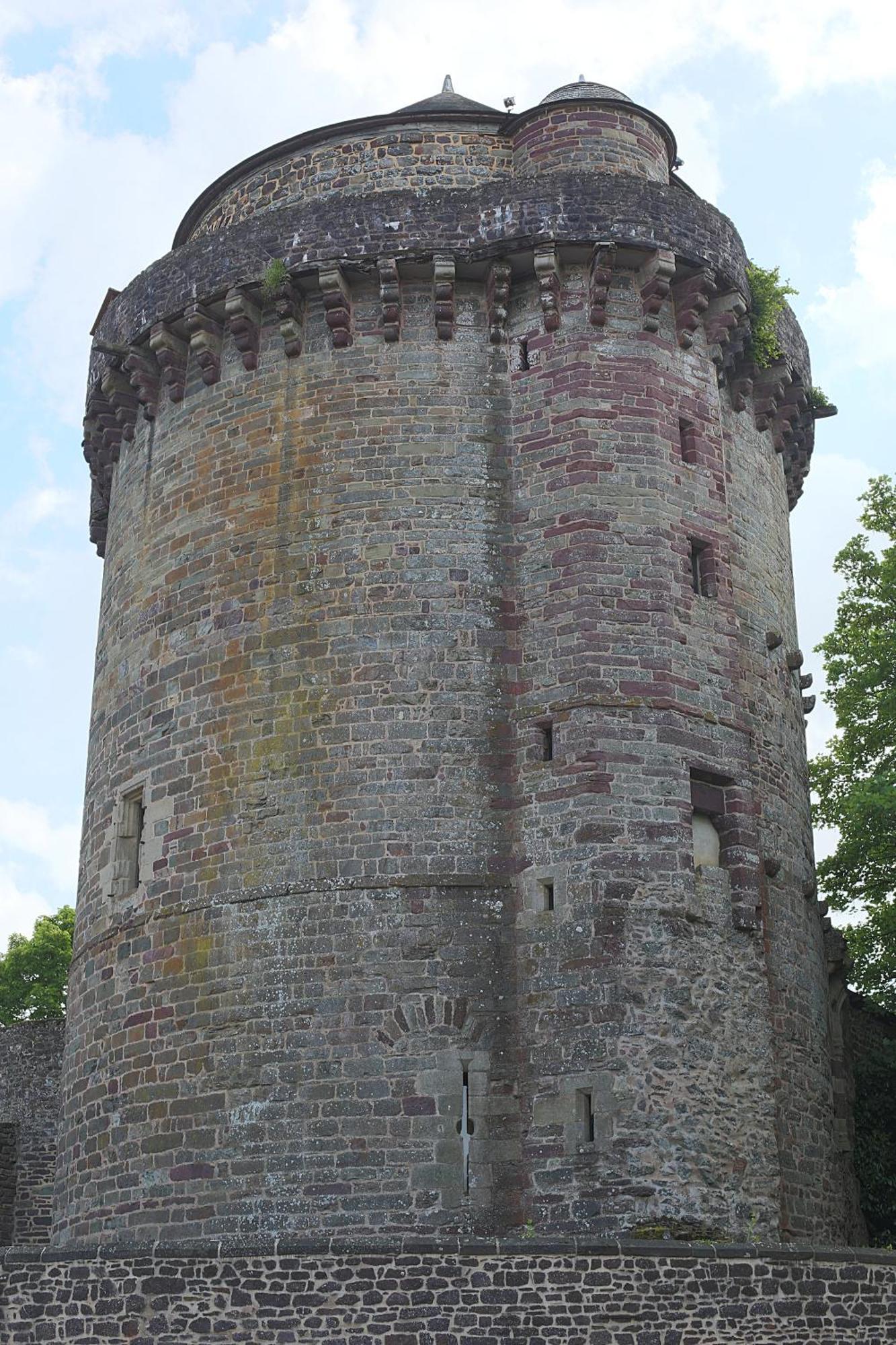 Le Manoir De La Cane Montfort-sur-Meu Exterior foto